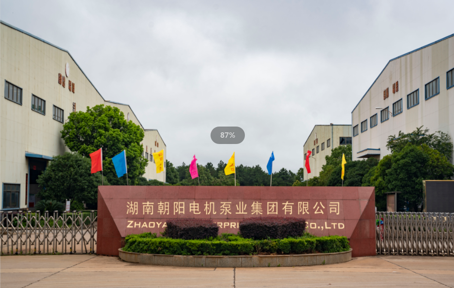 衡東縣政協(xié)走進(jìn)朝陽集團開展視察指導(dǎo)活動 衡東縣政協(xié)走進(jìn)朝陽集團開展視察指導(dǎo)活動